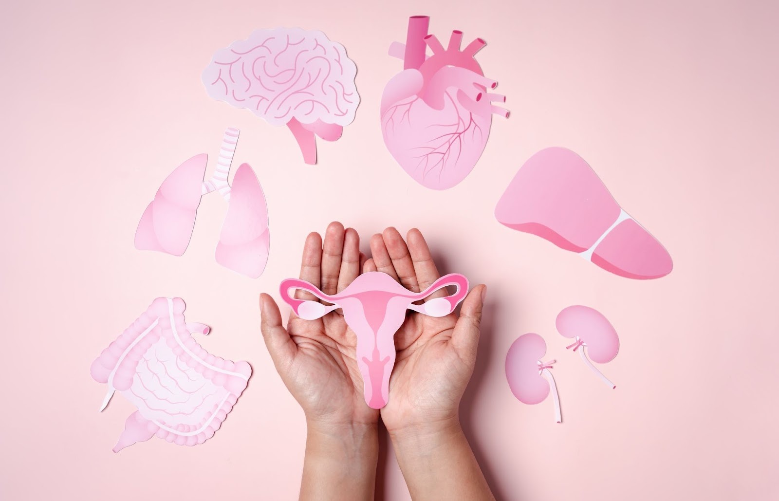 GLP-1 pills for menopause