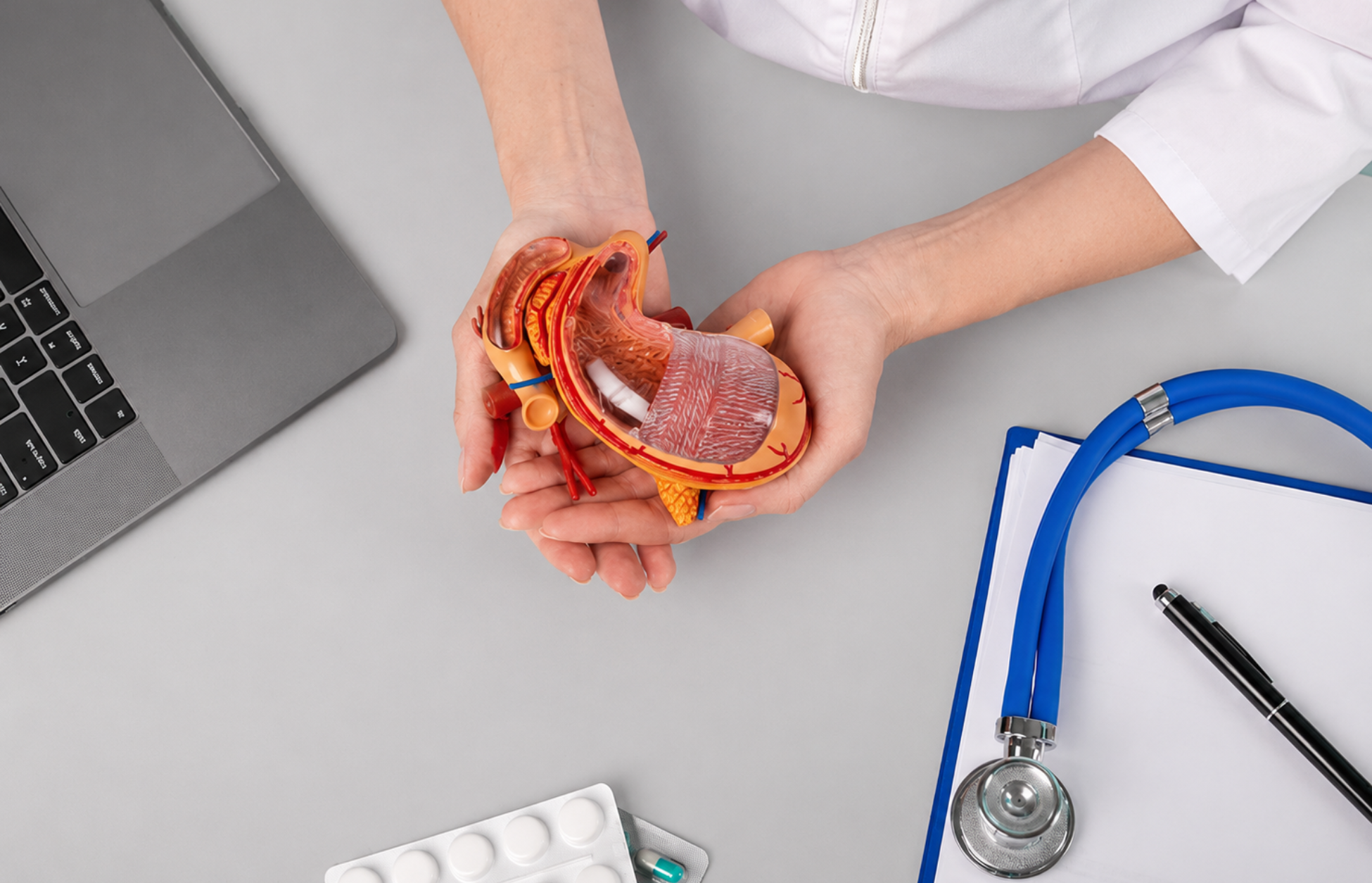 Healthcare professional holding a stomach model above a light grey medical desk with a stethoscope, clipboard, laptop, and medication blister pack.