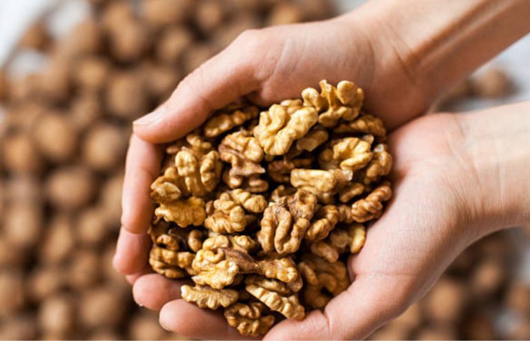 Hands holding fresh walnuts close up