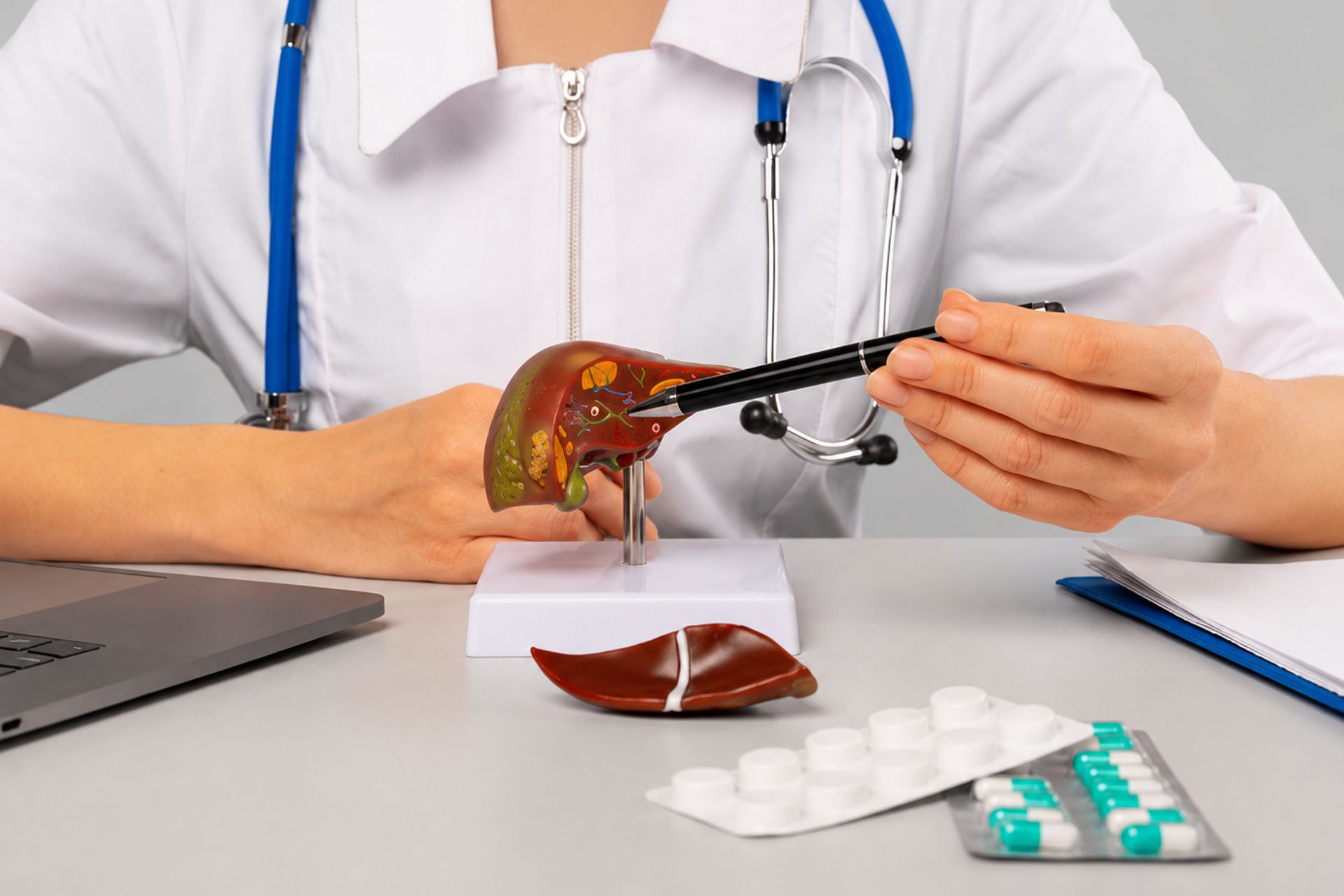Doctor demonstrating a liver model on a desk with medication packs and medical tools in a clinical setting.
