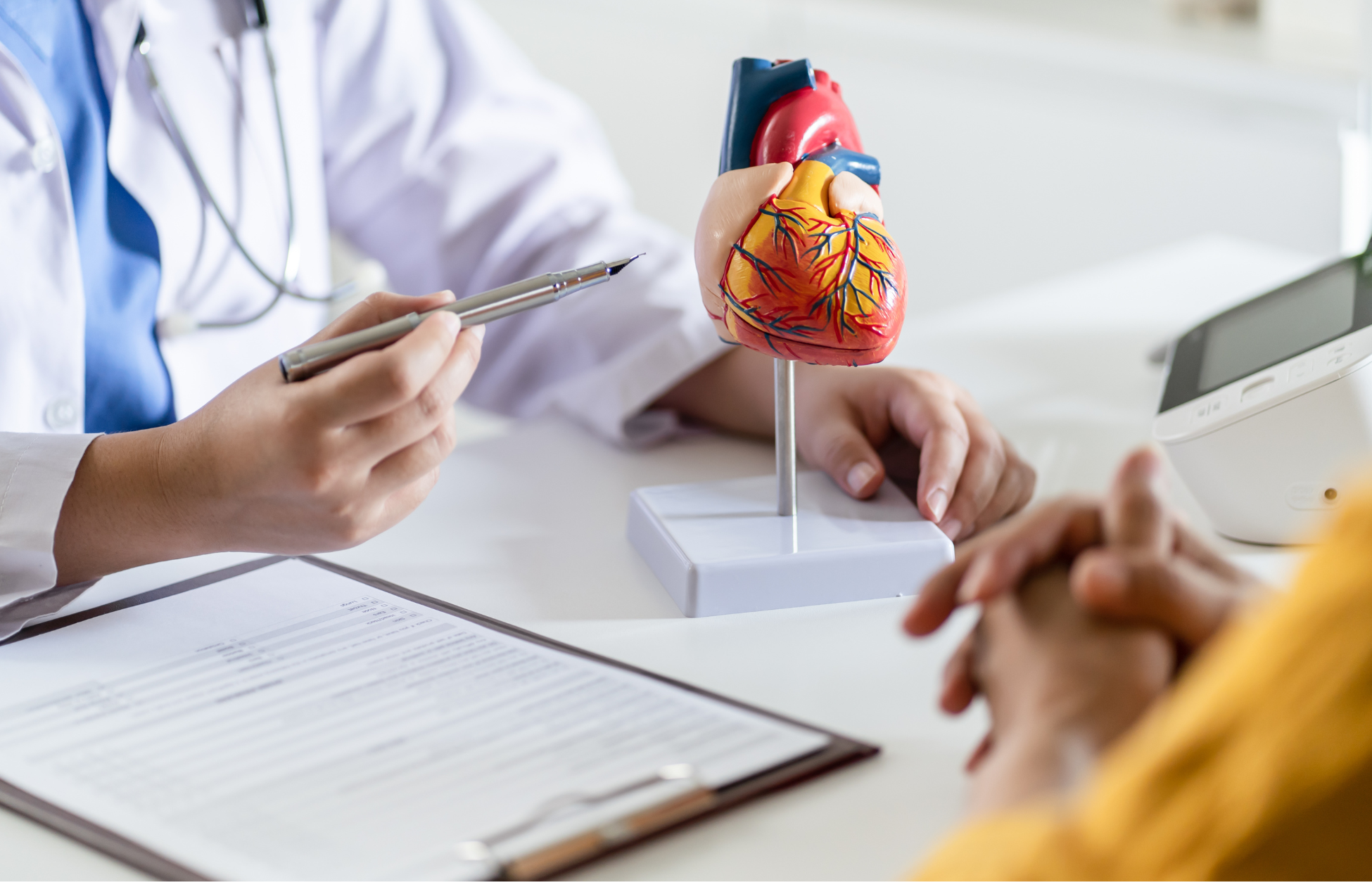 Doctor using a heart model to explain cardiovascular health to a patient during a medical consultation.
