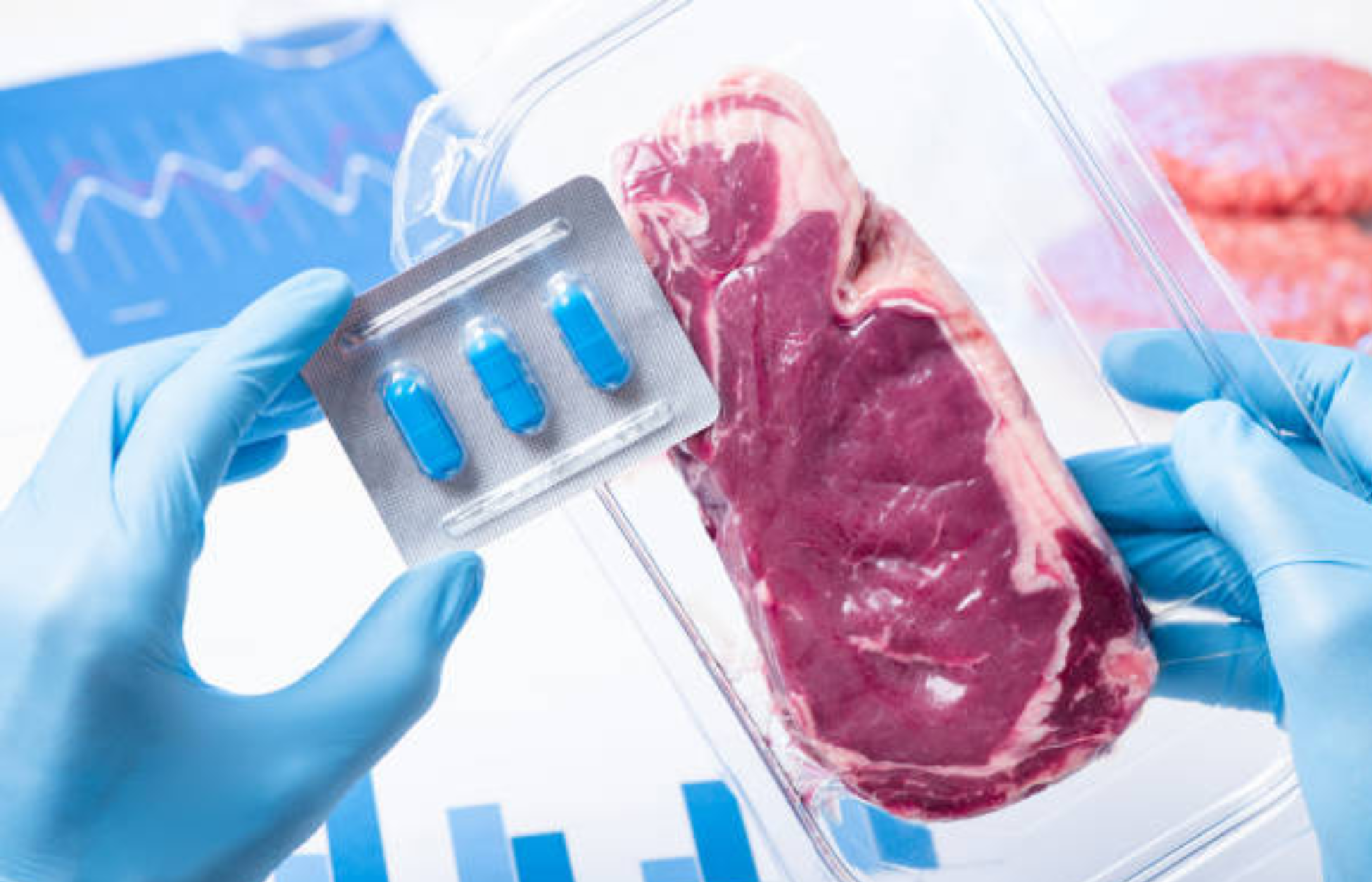 Gloved hands hold a packaged steak and blue capsules, illustrating how GLP-1 drugs may influence meat consumption habits.