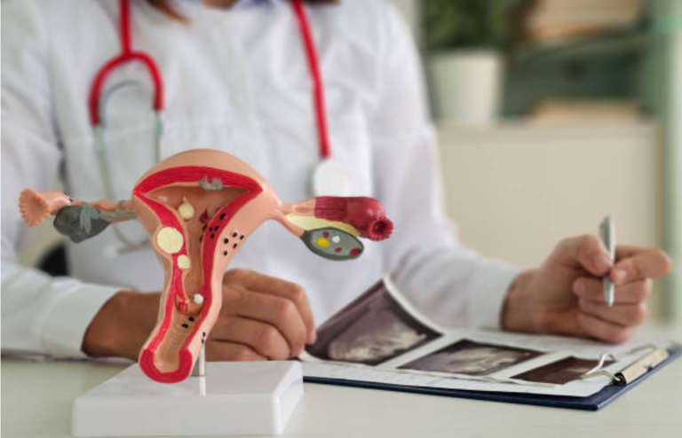 Healthcare professional with an anatomical uterus model, illustrating menstrual health and reproductive system evaluation.